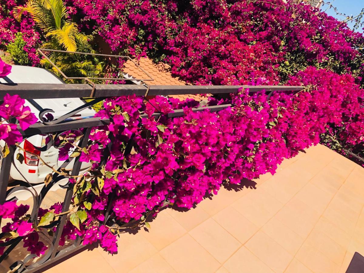 Petite Flower Guest House Talata-maty Exteriér fotografie