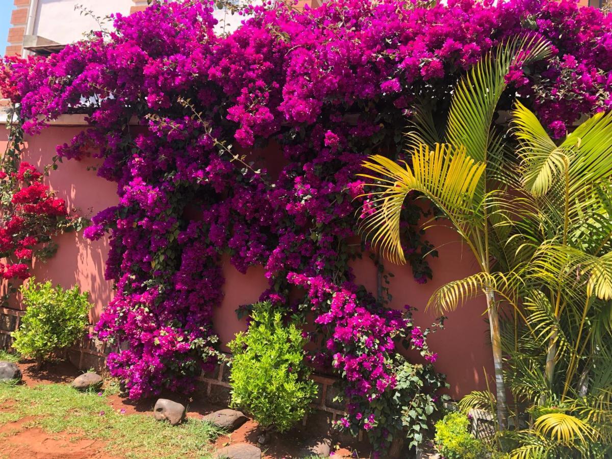 Petite Flower Guest House Talata-maty Exteriér fotografie